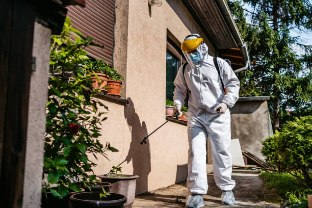 Best Commercial Pest Control Services  in Divernon, IL