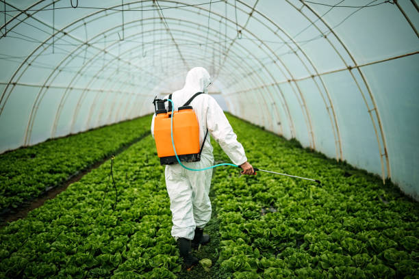 Best Emergency Pest Control  in Divernon, IL