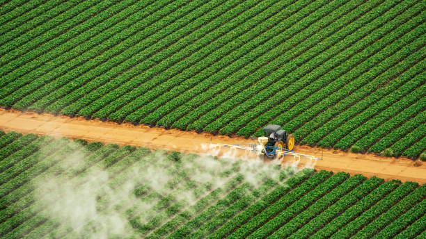Best Pest Inspection Near Me  in Divernon, IL